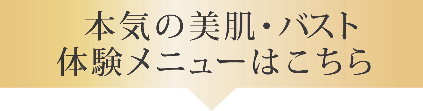 メニューはこちら